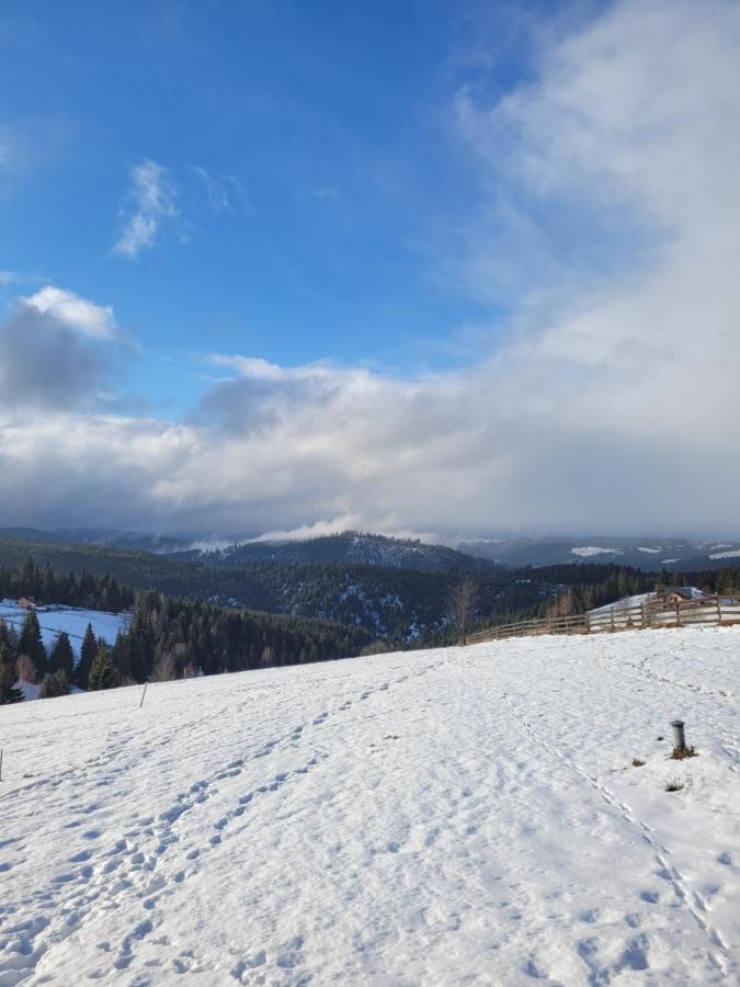 Casuta De Vacanta Marisel, Cluj Mărişel
