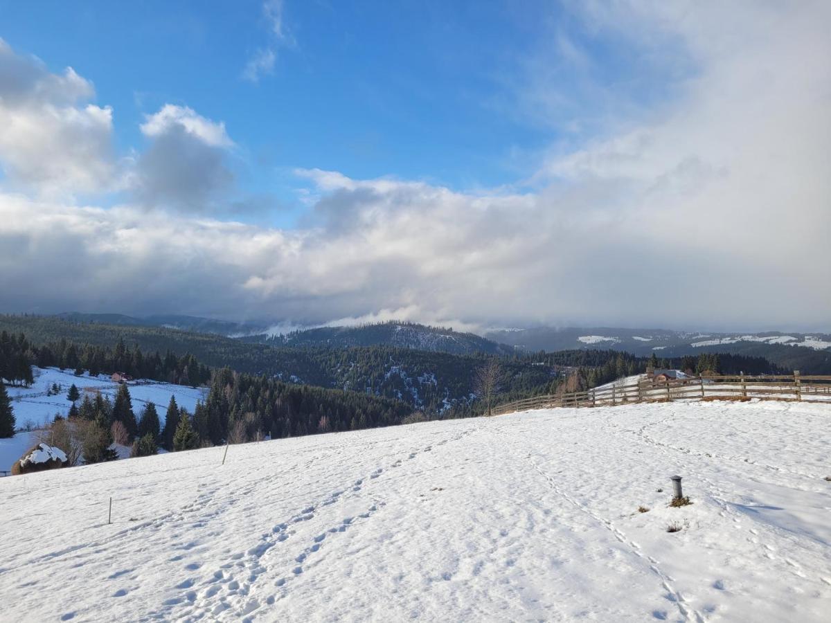 Hébergement de vacances Casuta De Vacanta Marisel, Cluj